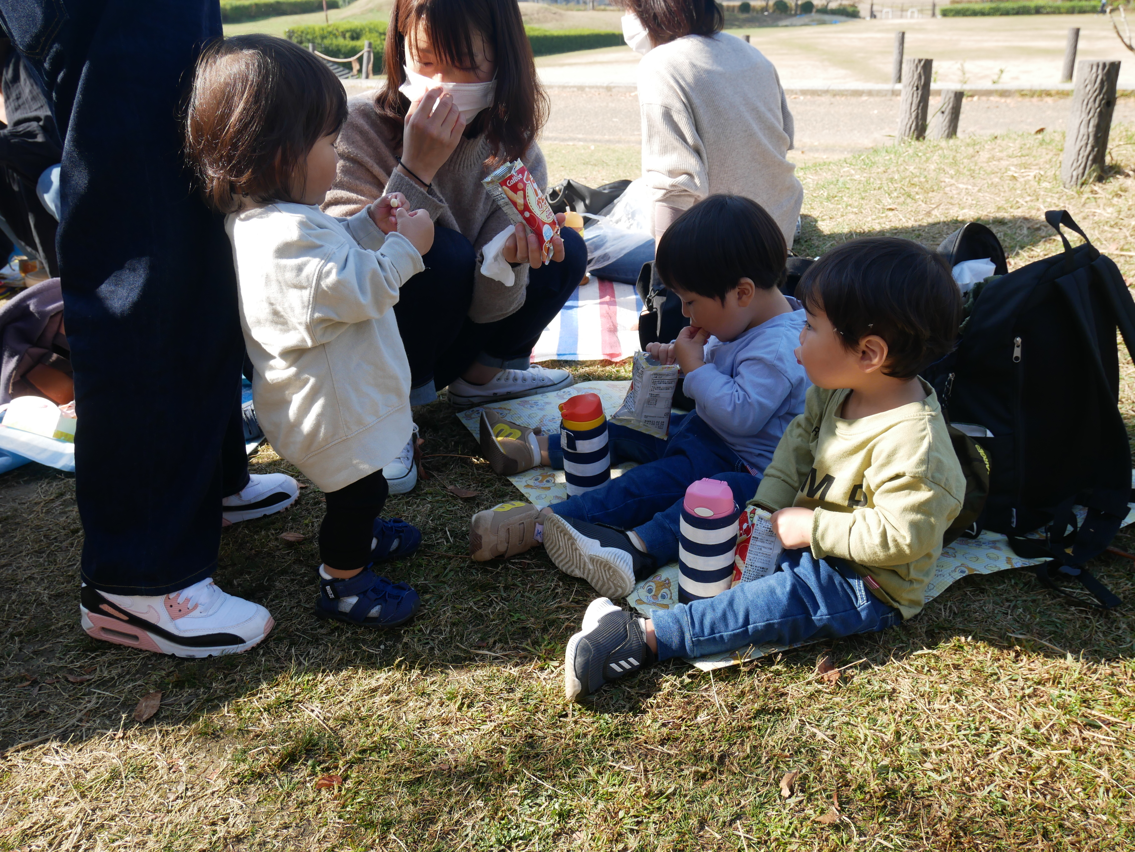 ぴよぴよ組　～バスに乗ってGO!GO! 秋の遠足～の画像5