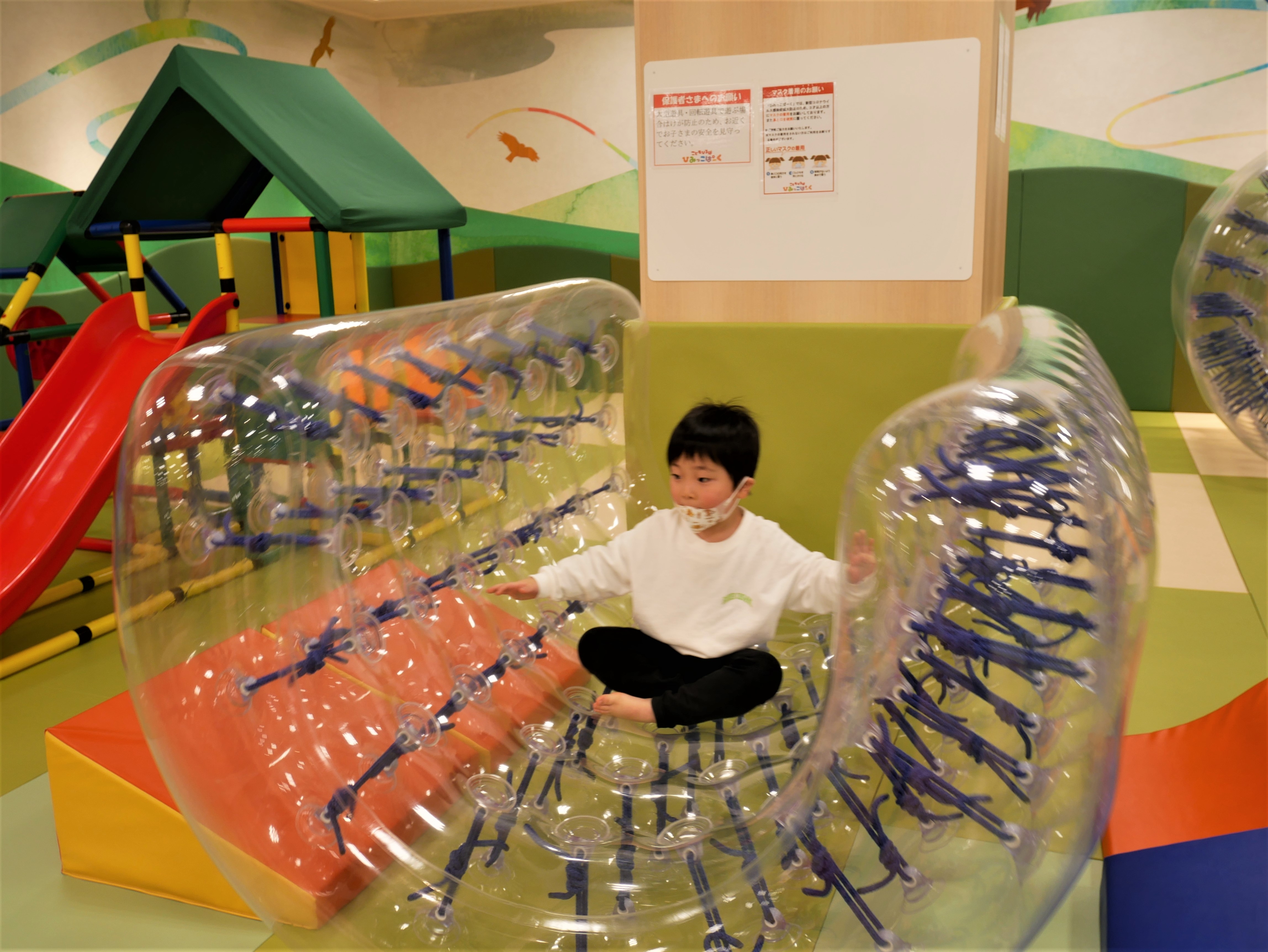 ぶどう組　～お別れ遠足～の画像1