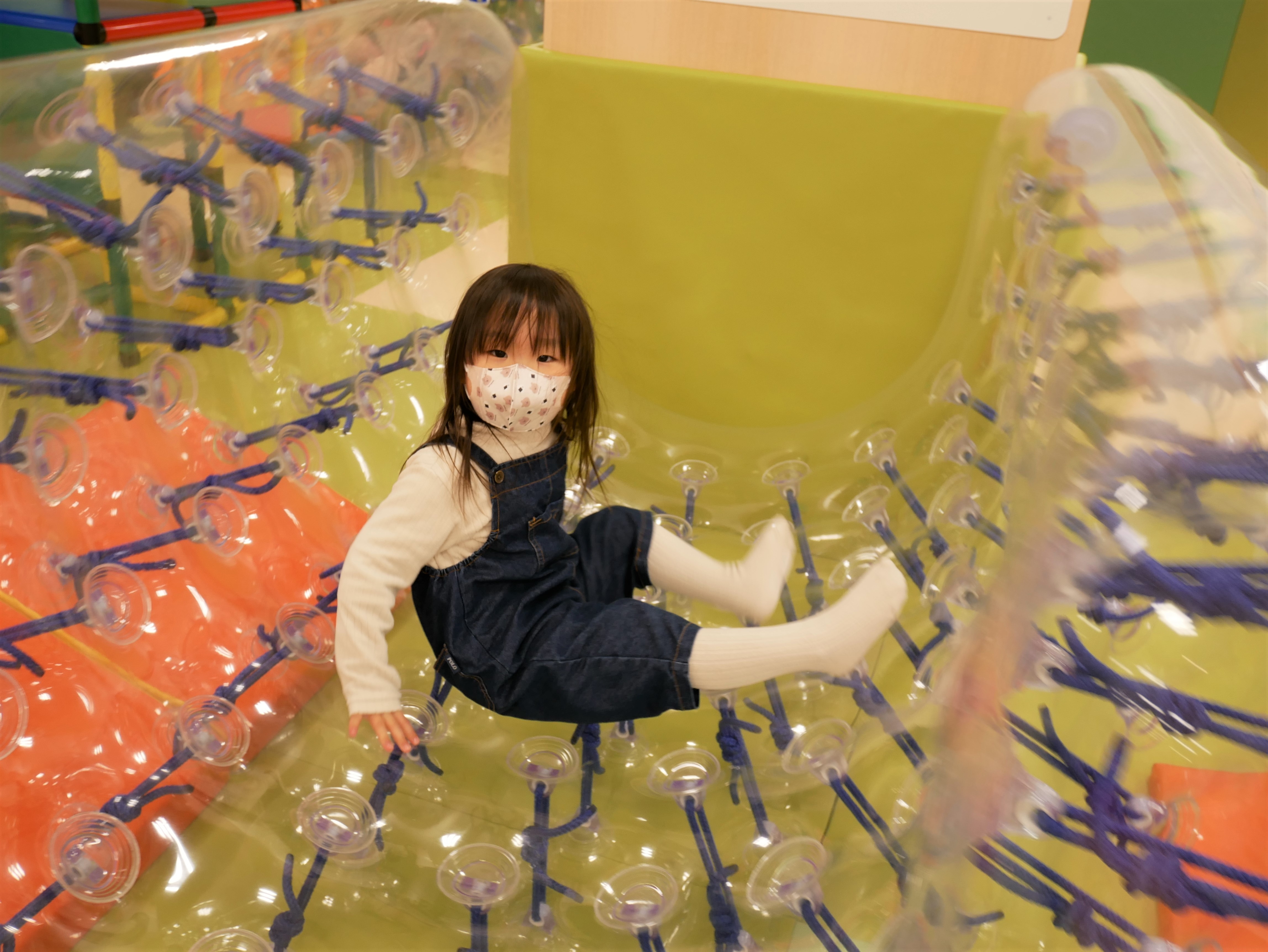 ぶどう組　～お別れ遠足～の画像3