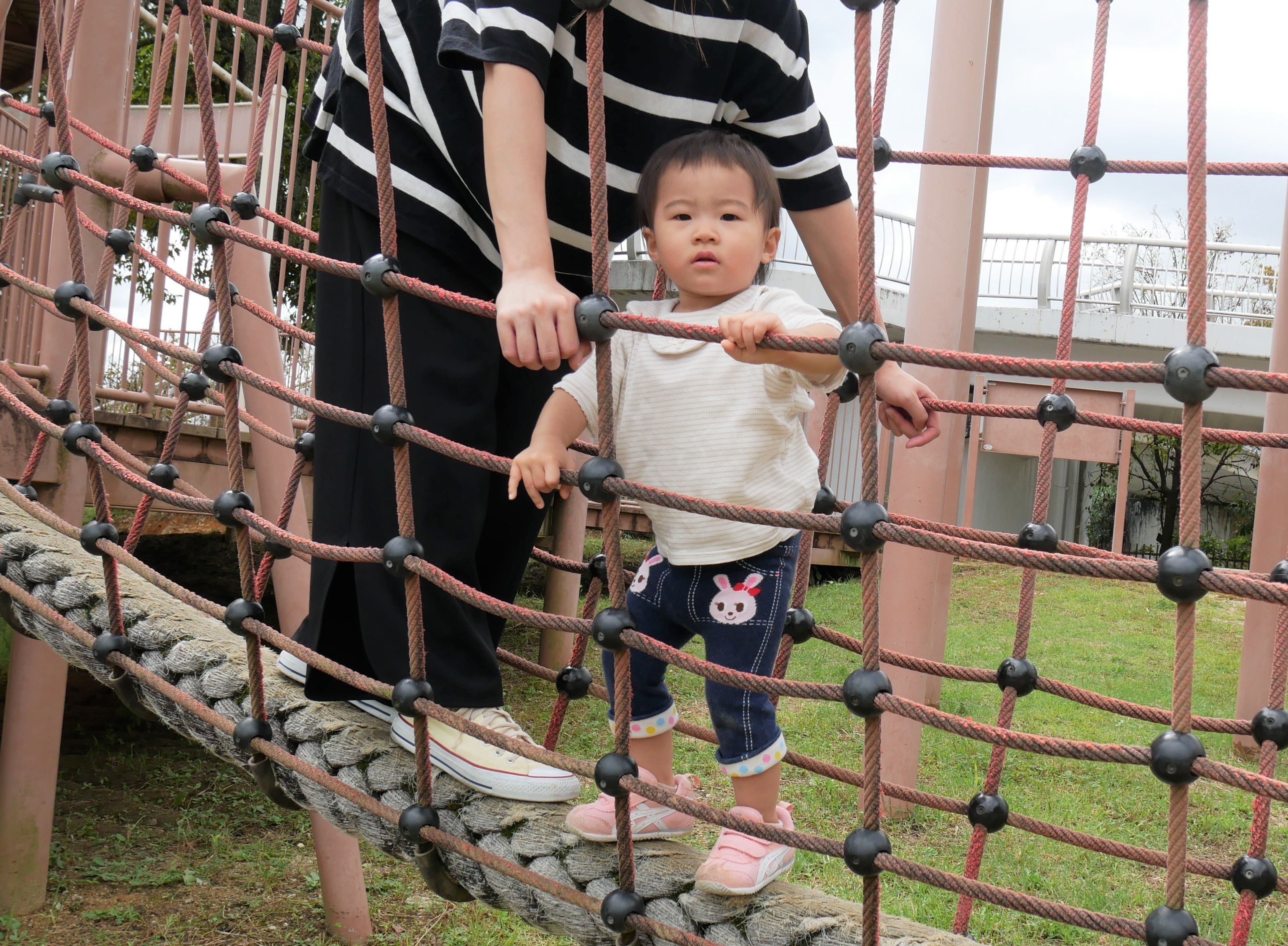 ぶどう組・いちご組合同　～遠足（馬見丘陵公園）～の画像3
