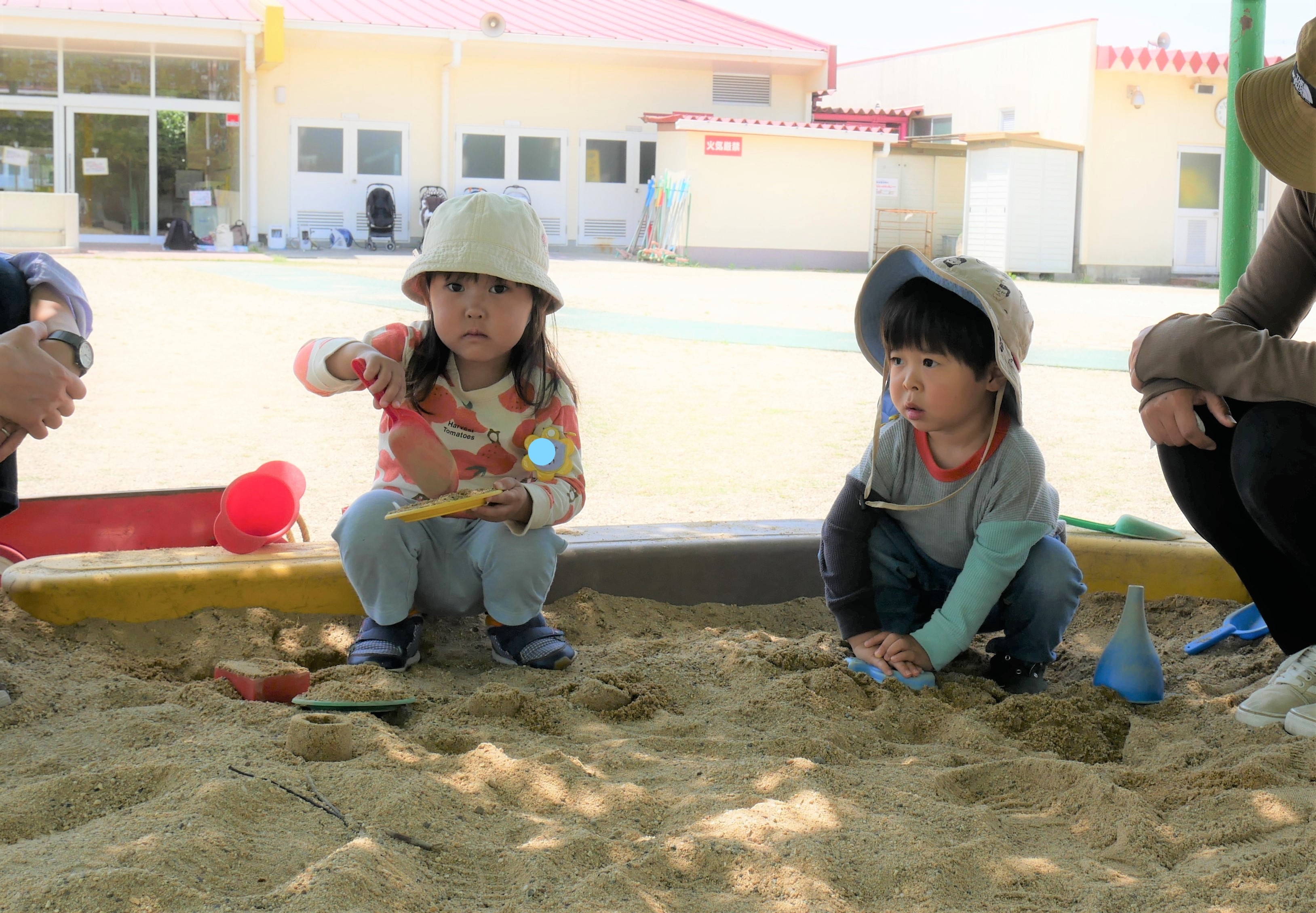ぶどう組・いちご組合同　～幼児園の園庭で遊ぼう～の画像3