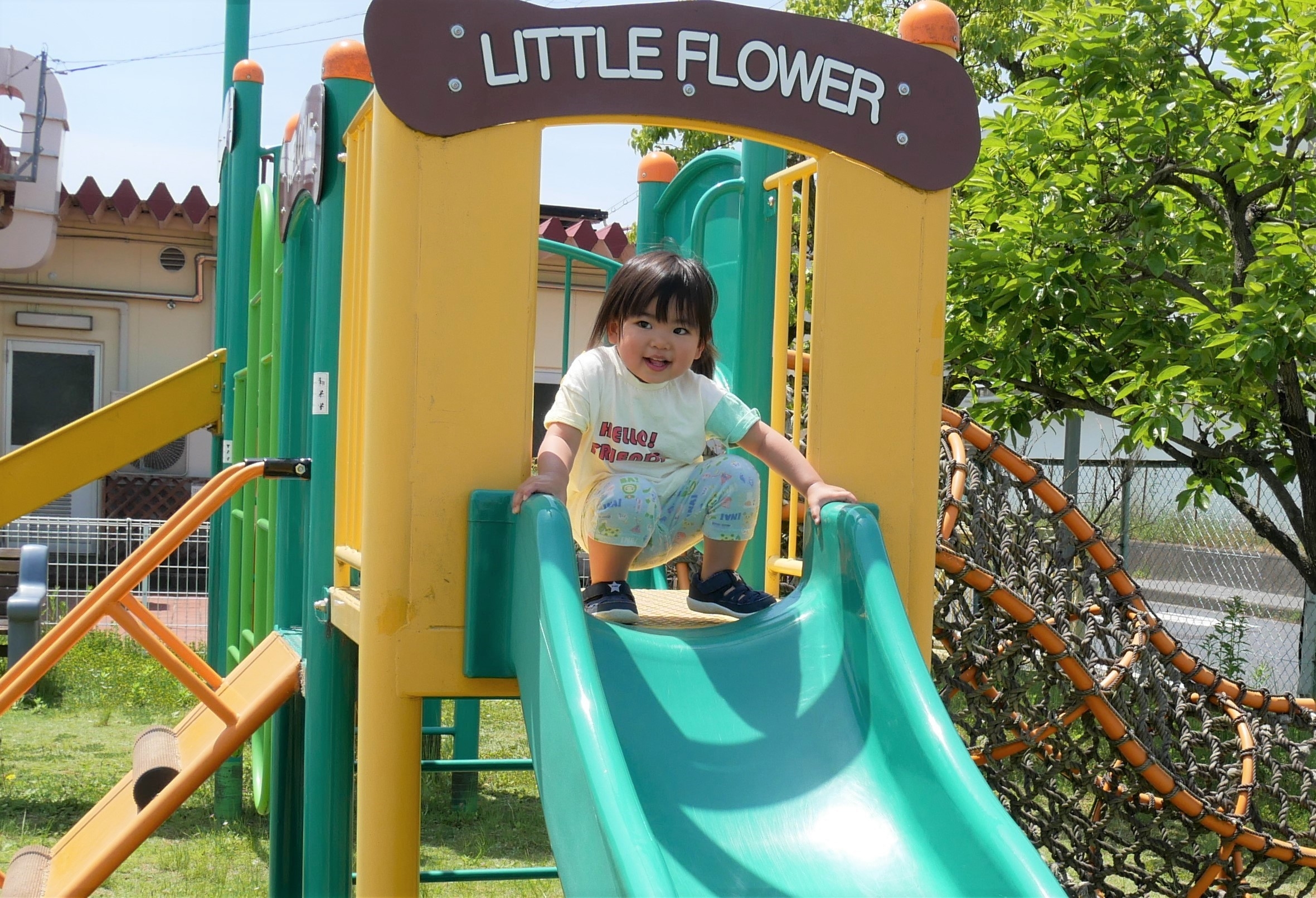 ぶどう組・いちご組合同　～幼児園の園庭で遊ぼう～の画像5