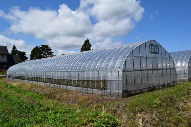 廃プラスチック