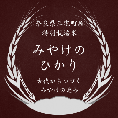 みやけのひかり